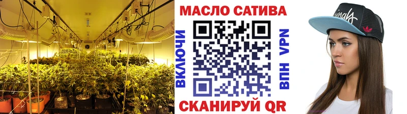 OMG как зайти  Волоколамск  Дистиллят ТГК гашишное масло 